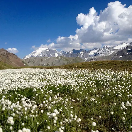 Vakantiehuis Felse Bormio