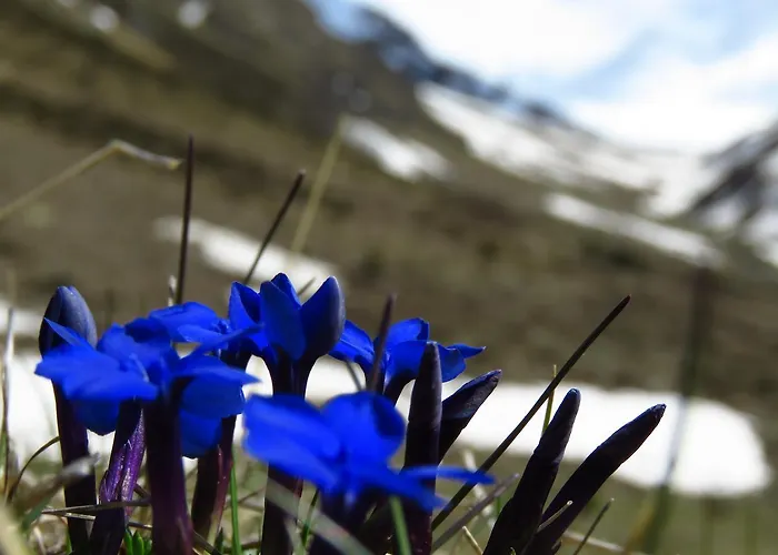 Vakantiehuis Felse *