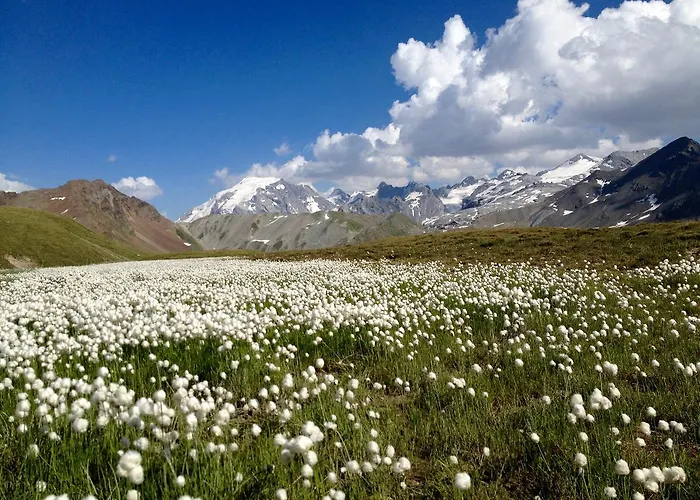Tatil Evi Felse Bormio