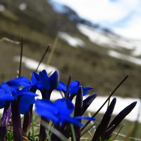 Prázdninový dům Felse *